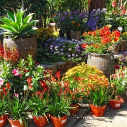 The Best 10 Nurseries Gardening Near Baron Brothers Nursery In Ad Moon Valley Nurseries