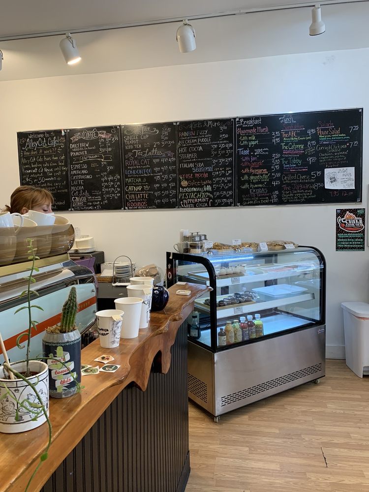 Alley Cat Cafe