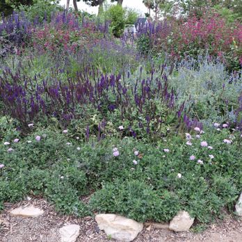 south coast botanic garden