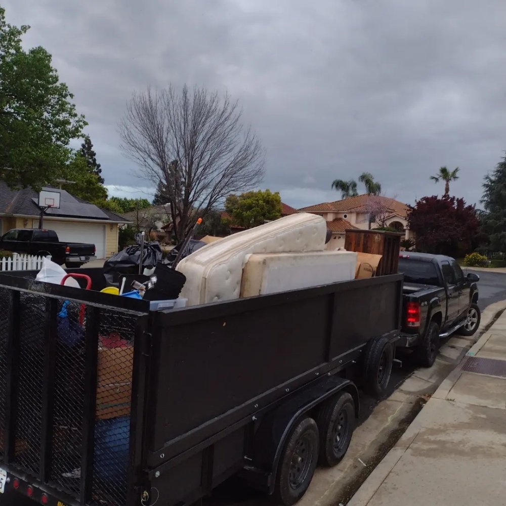 Grizzly Junk Haulers