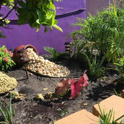 A D Landscaping 13 Photos Nurseries Gardening 18701 Sheridan Photo Of A D Landscaping Fort Lauderdale Fl United States Stopped In For