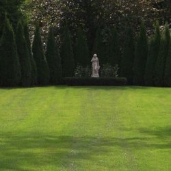 Natural Way Lawn Tree Service 12 Photos 26 Reviews Photo Of Natural Way Lawn Tree Service Lake Orion Mi United States