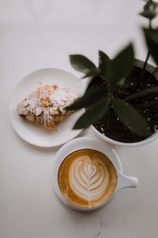 Cedar & Spokes Coffee & Bar