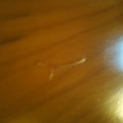 Handy James Handyman Deerfield Beach Fl Phone Number Yelp Photo Of Handy James Deerfield Beach Fl United States Left His