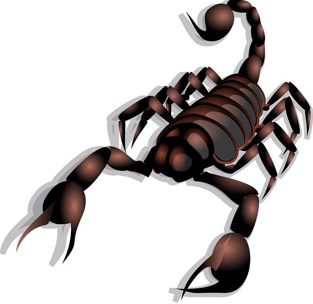 All Pro Pest Services