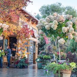 Garden Design Nursery photos for madeline george garden design, nursery & garden center Garden Design Nursery photos for madeline george garden design, nursery & garden center