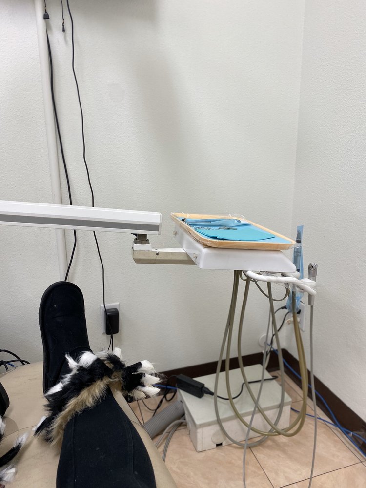 image of business JR Dental