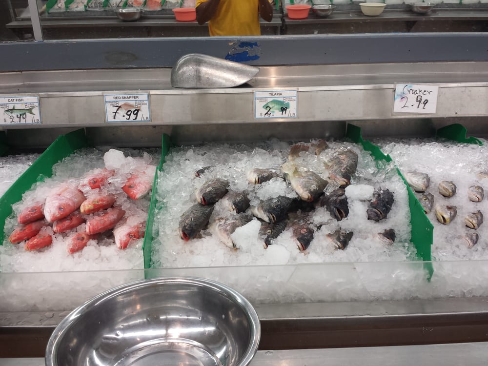 Dolphin Fish Market CLOSED Seafood Markets 2169 3rd Ave, East