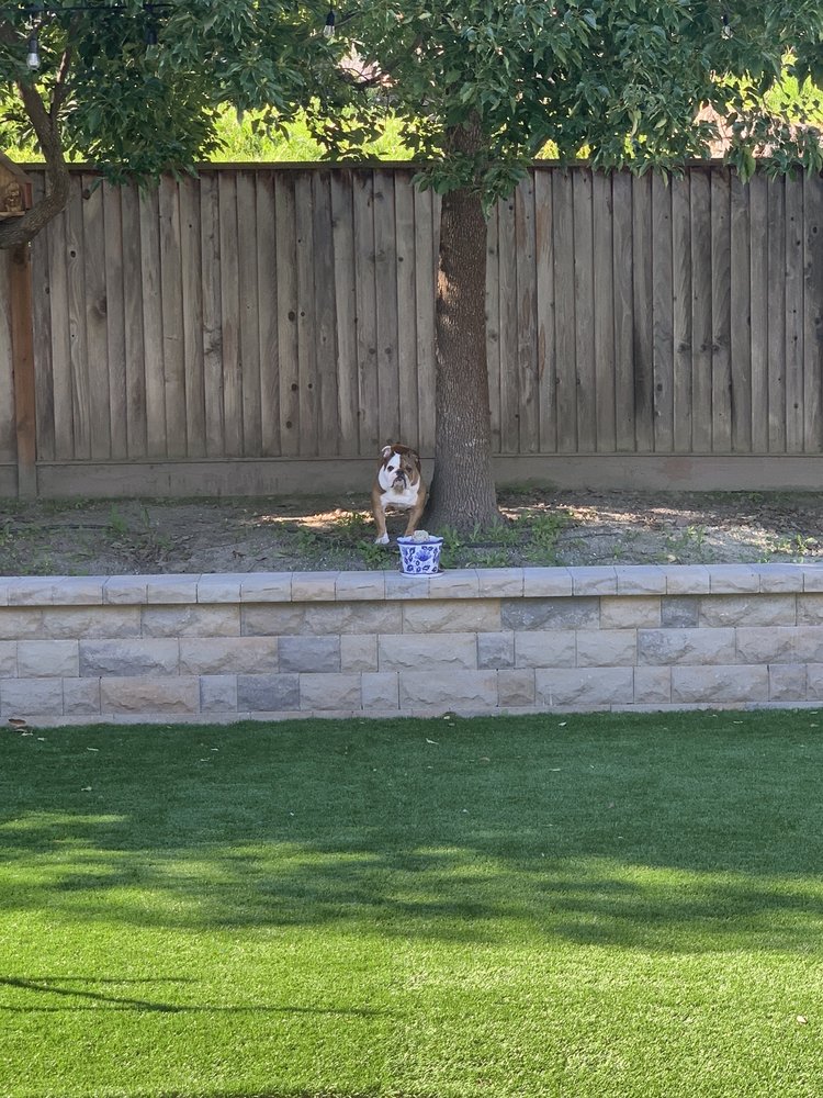 Hillside Nursery & Landscaping