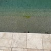 Crystal Falls Pools gift card