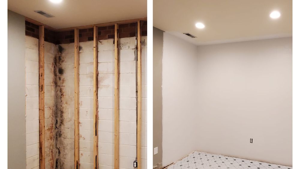 Dynamic Mold Remediation