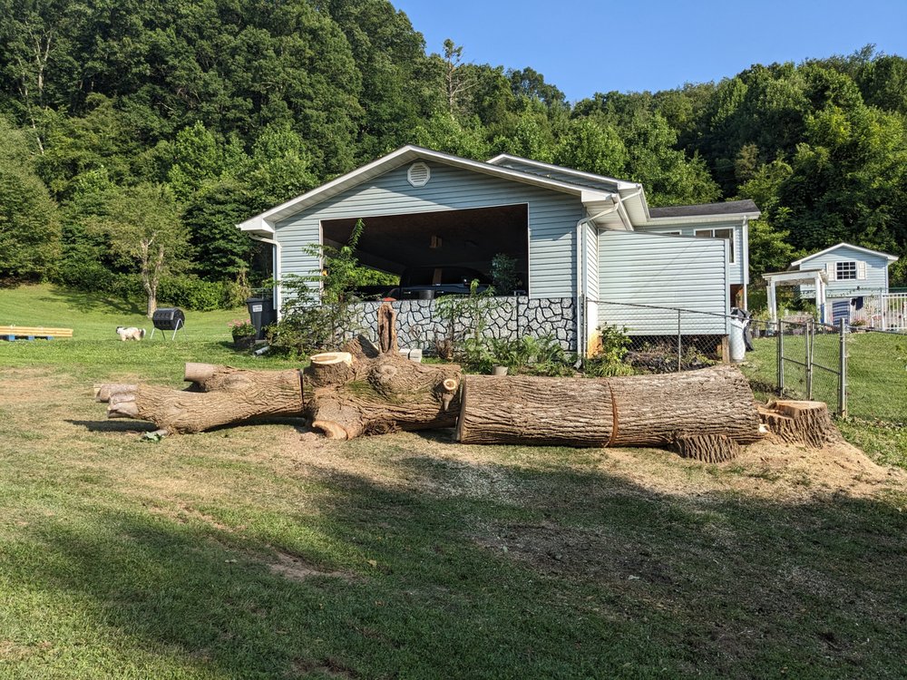 Arbor Tree Care