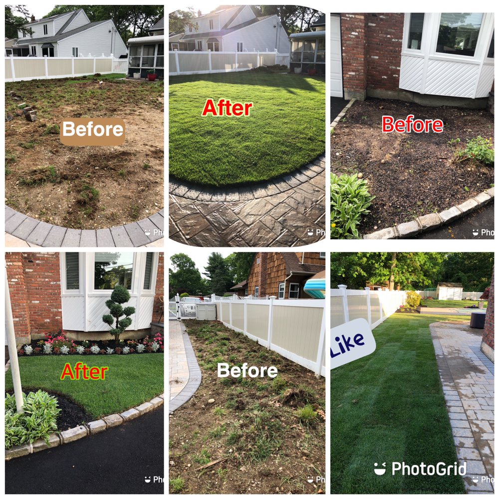Victorio Tree Service & Landscaping