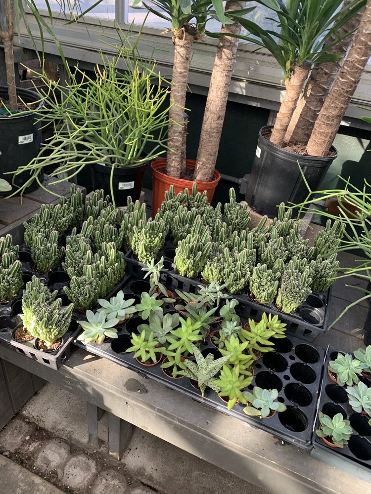 McDonald Garden Center