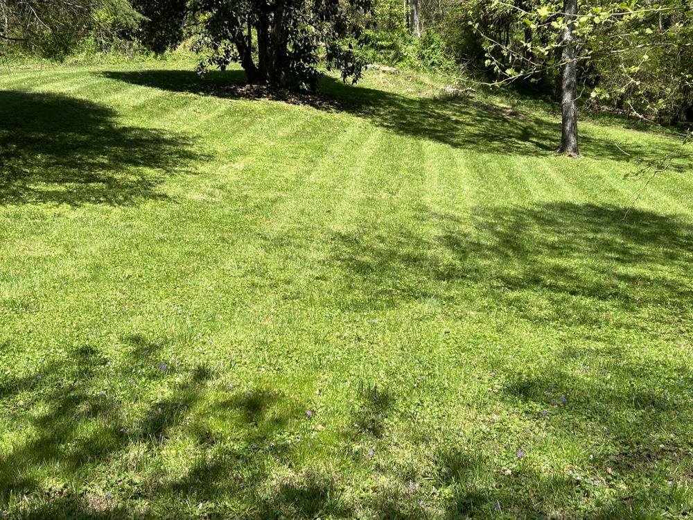 Jesses Lawn Services