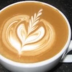 Do probiotics make u lose weight photo 2