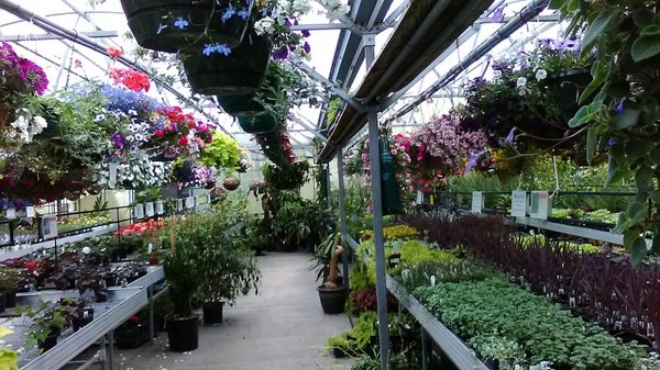 Platt Hill Nursery 222 W Lake St Bloomingdale Il Garden Centers Platt Hill Nursery 222 W Lake St Bloomingdale Il Garden Centers Mapquest