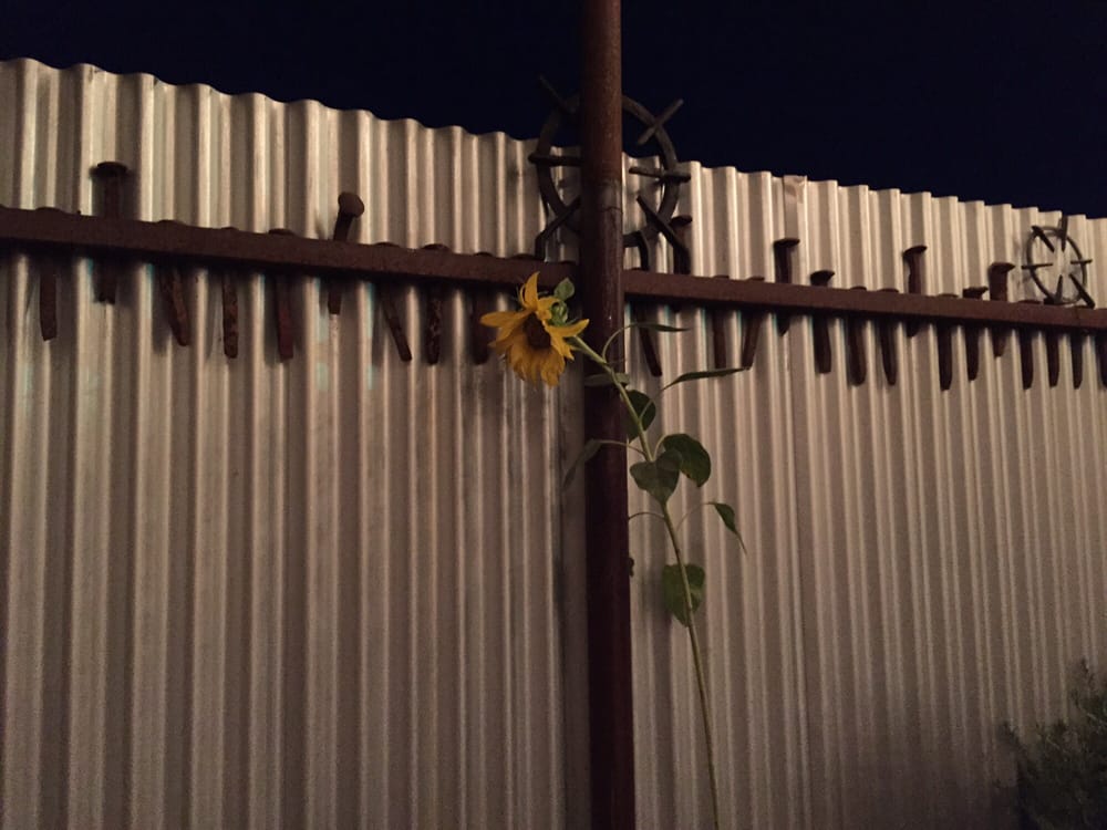 The Range 156 Photos & 191 Reviews Steakhouses 22317 El Camino