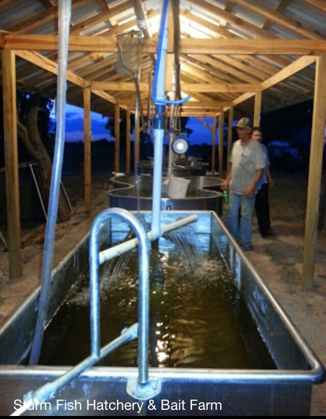 Sturm Fish Hatchery And Bait Farm