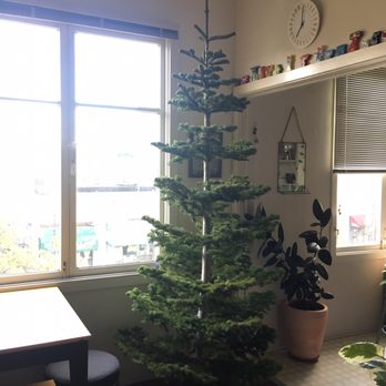 Simonis Quality Christmas Trees - CLOSED - 28 Reviews - Christmas Photo of Simonis Quality Christmas Trees - Oakland, CA, United States. 8' - Simonis Quality Christmas Trees - CLOSED - 28 Reviews - Christmas