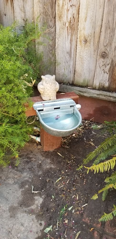 D A Landscape Services