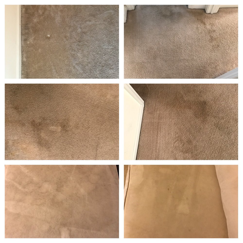 White Knight Steamer Professional Carpet & Upholstery Cleaner