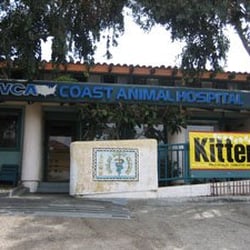 vca hospital coast animal hermosa beach