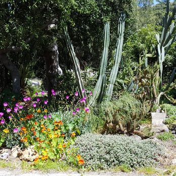 California Nursery Historical Park 33 Photos Parks 36550 Niles Photo Of California Nursery Historical Park Fremont Ca United States Cactus Garden