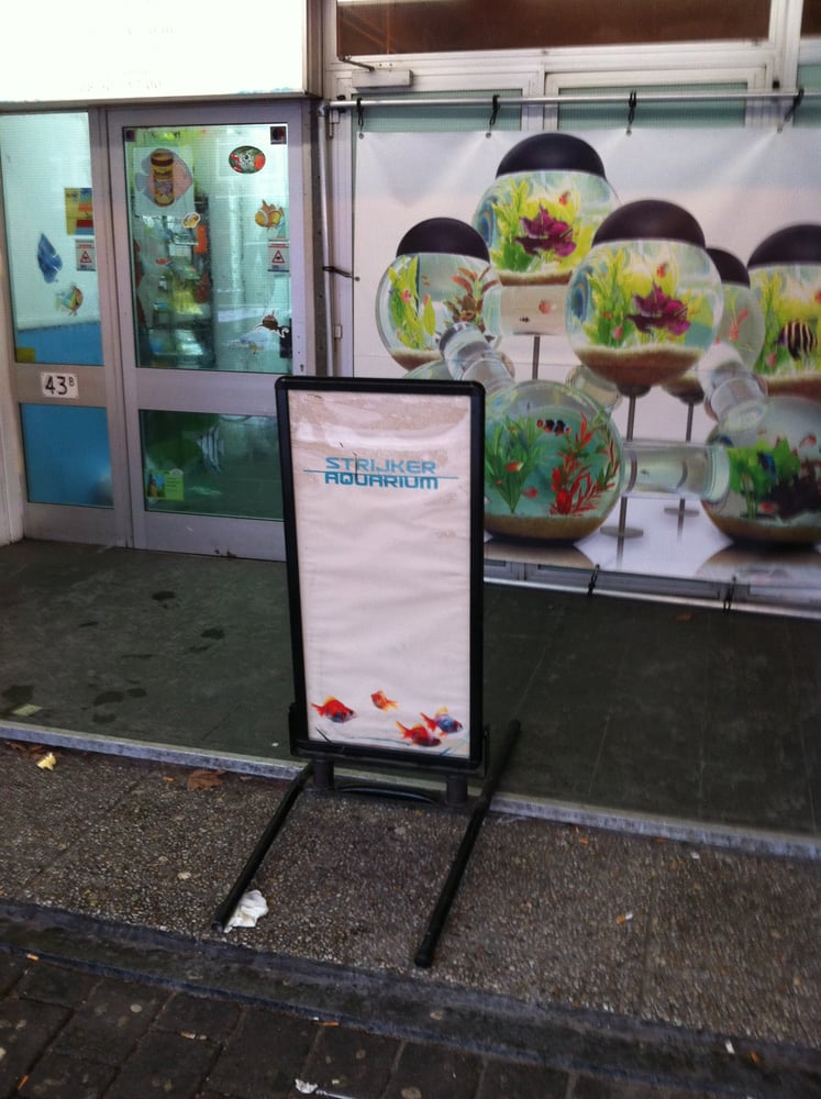 Strijker Aquarium Dierenwinkels Beijerlandselaan 43 B, Rotterdam, Zuid Holland Strijker Aquarium Dierenwinkels Beijerlandselaan 43 B, Rotterdam, Zuid Holland