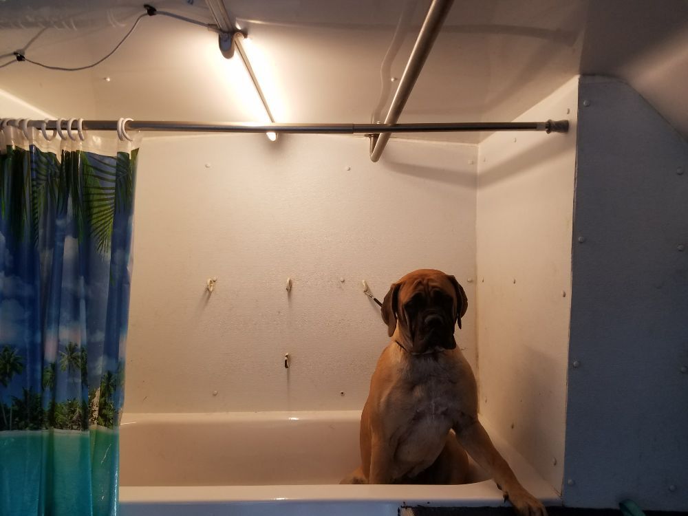 Doggie Shine Mobile Pet Spa 51 Photos & 59 Reviews Pet Groomers