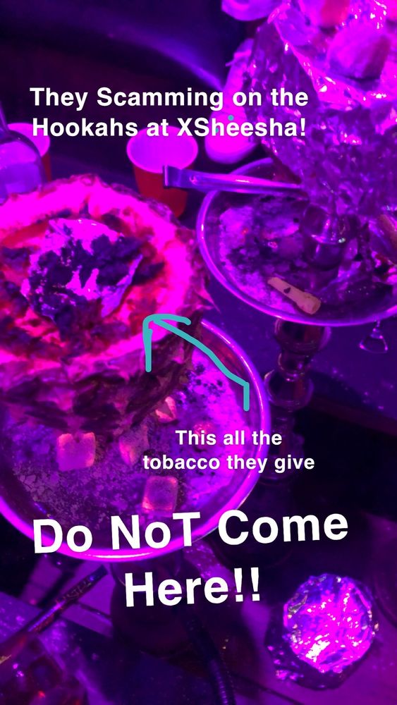 Xsheesha