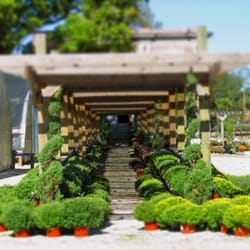 Stark Bro S Garden Center 12 Photos 25 Reviews Home Photo Of Stark Bro S Garden Center Louisiana Mo United States