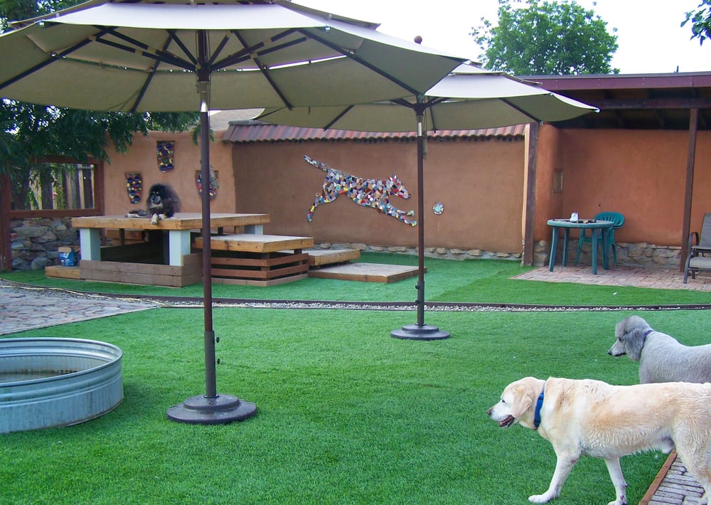 Redlands Rover Ranch 15 Reviews Pet Boarding/Pet Sitting Redlands