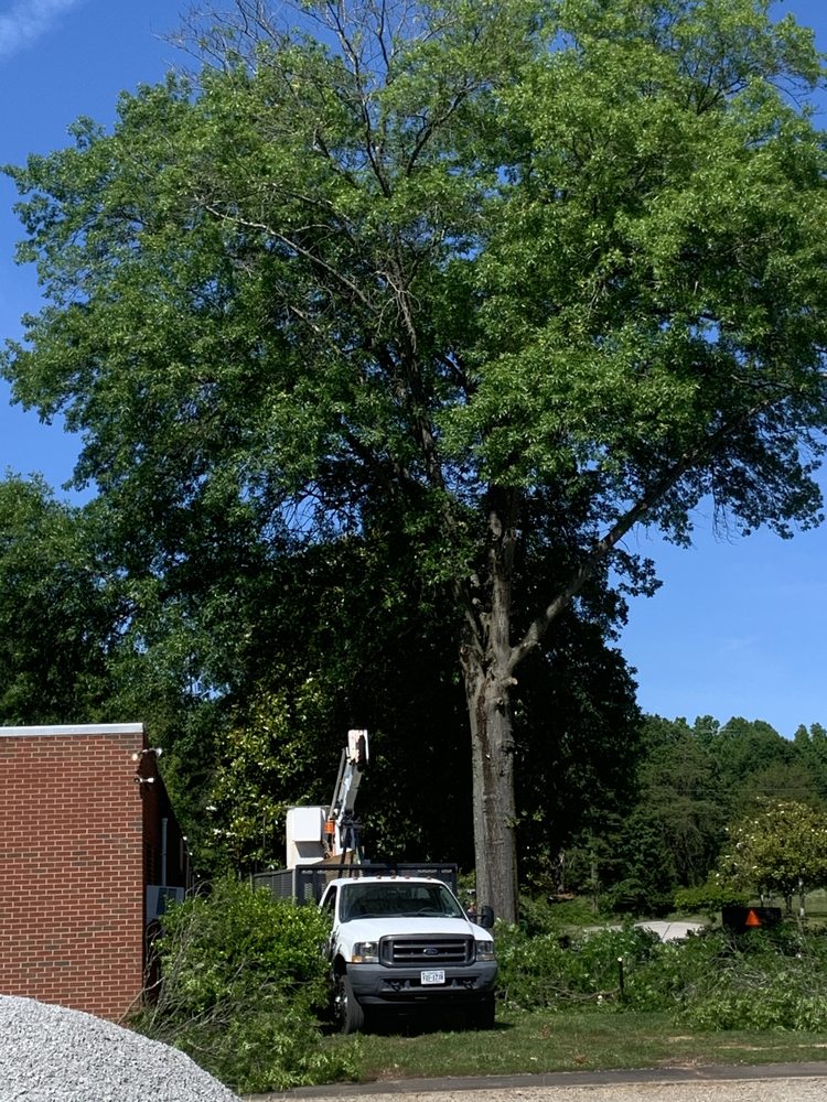 WLR Outdoor Services