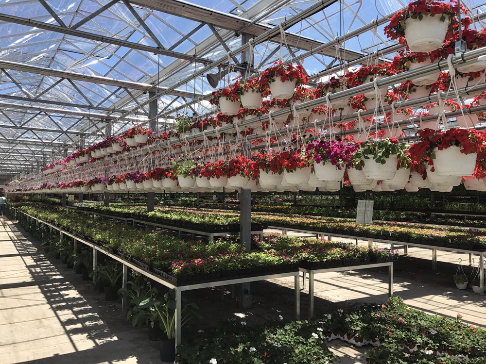 Maple Leaf Farms Nurseries & Gardening 525 Rte 9 S, Manalapan