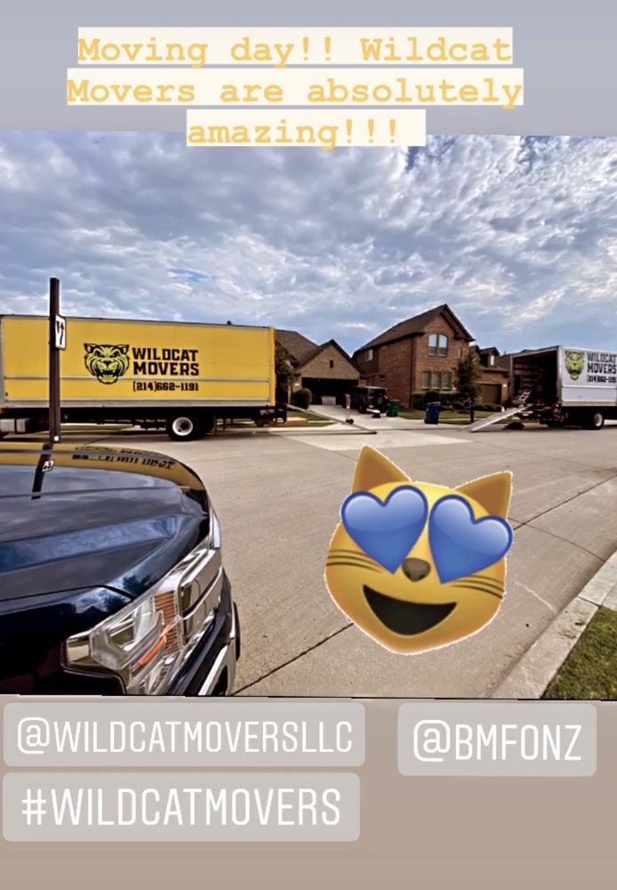 Wildcat Movers - Dallas