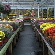 Jim Jenkins Lawn Garden Center Nurseries Gardening 1877 United Photo Of Jim Jenkins Lawn Garden Center Upper Saint Clair Pa