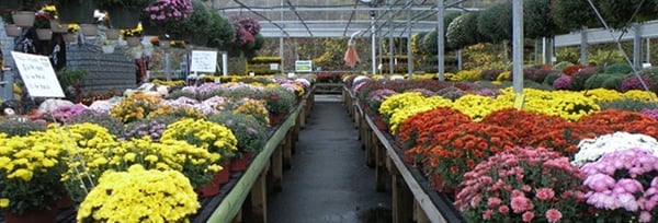 Jim Jenkins Lawn Garden Center 1877 Painters Run Rd Upper Saint Jim Jenkins Lawn Garden Center 1877 Painters Run Rd Upper Saint Clair Pa General Merchandise Retail Mapquest