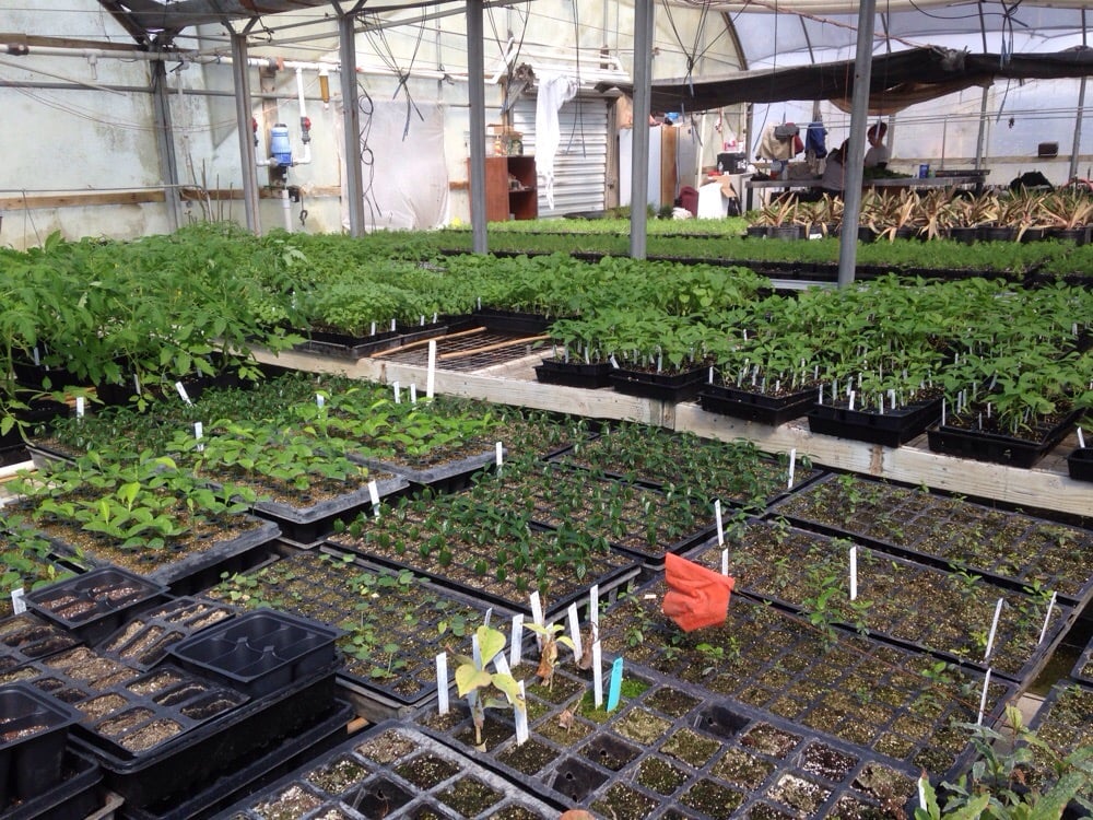 Treesearch Farms Nurseries & Gardening 7625 Alabonson Rd, Houston