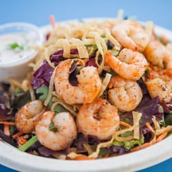 Spencer Makenzie S Closed 129 Photos 165 Reviews Seafood Photo Of Spencer Makenzie S San Luis Obispo Ca United States Shrimp Salad