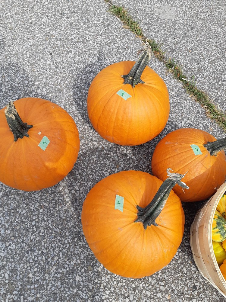 Woodbridge Village Farmers' Market