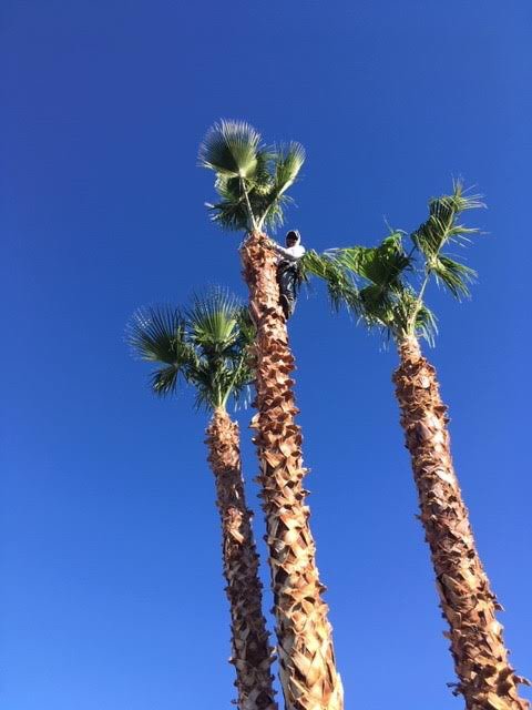 Four Seasons Landscaping Cons.