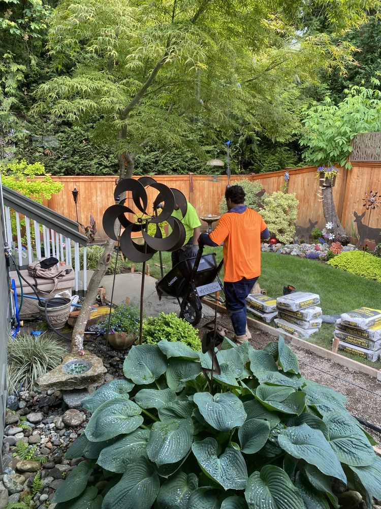 Hekoni Guys Concrete