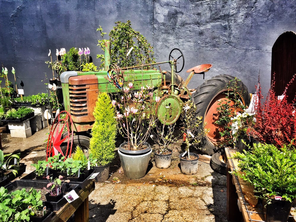 Urban Feed & Garden