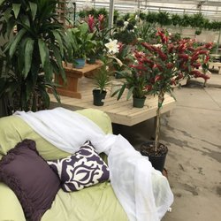 Martin Garden Center 62 Photos 12 Reviews Nurseries Photo Of Martin Garden Center Greenville Sc United States