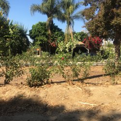 Martinez Nursery Nurseries Gardening 7761 Victoria Ave Photo Of Martinez Nursery Riverside Ca United States View From Opposite Side