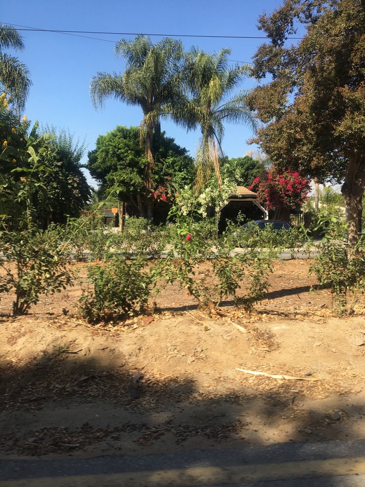 Martinez Nursery Nurseries Gardening 7761 Victoria Ave Martinez Nursery Nurseries Gardening 7761 Victoria Ave Riverside Ca Phone Number Yelp