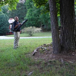 mr pest control twitter photo of mr pest control llc kennesaw ga united states control 2968 owens meadow dr kennesaw mr pest control twitter photo of mr pest control llc kennesaw ga united states control 2968 owens meadow dr kennesaw