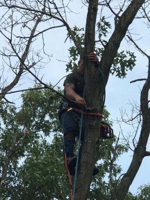 Double C Tree Service