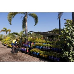 Paradise Nursery Gardening Centres 100 Thorak Road Berrimah Photo Of Paradise Nursery Berrimah Northern Territory Australia
